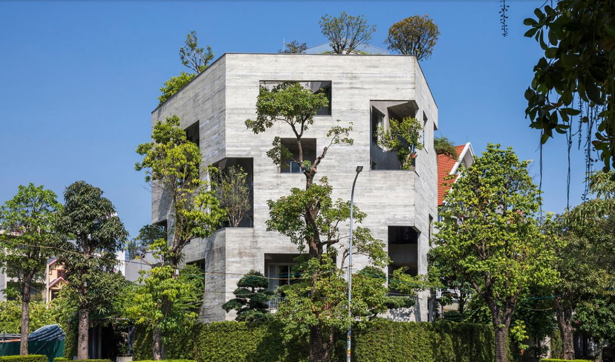 همنشینی نمای یک خانه بتونی پنج ضلعی  با درختان ، طراحی شده در ویتنام